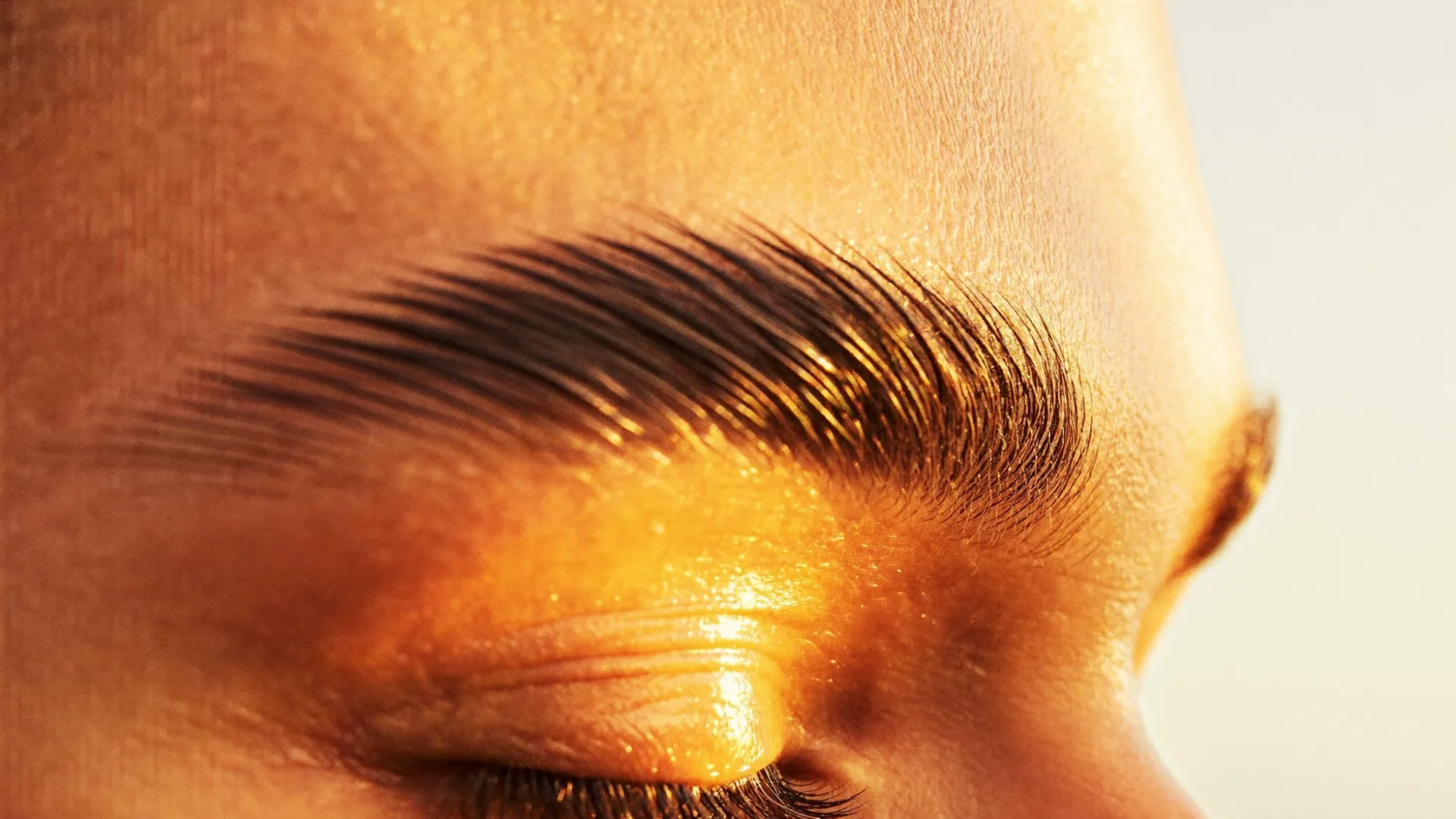 Extreme macro of brow hairs showing growth direction